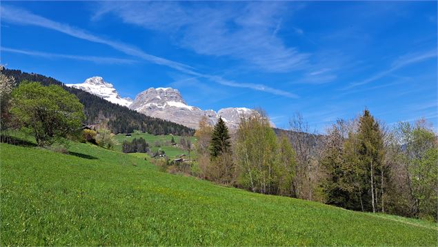 Vue sur les Quatres Têtes au printemps - © Cordon Tourisme