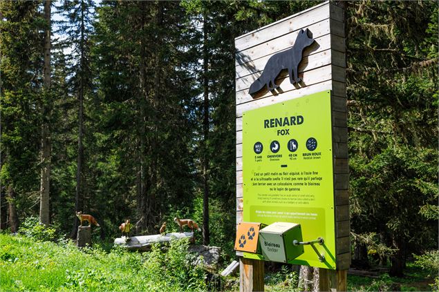 Sentier piéton - V6 - Sentier des Animaux - Départ Altiport - ©Sylvain Aymoz