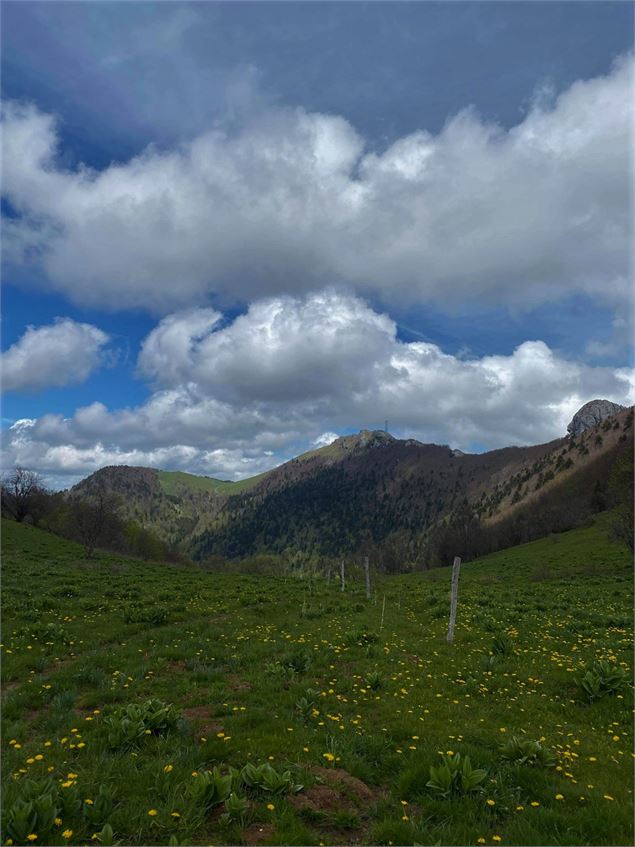 Crêtes du Grand Colombier - © D.Ballet