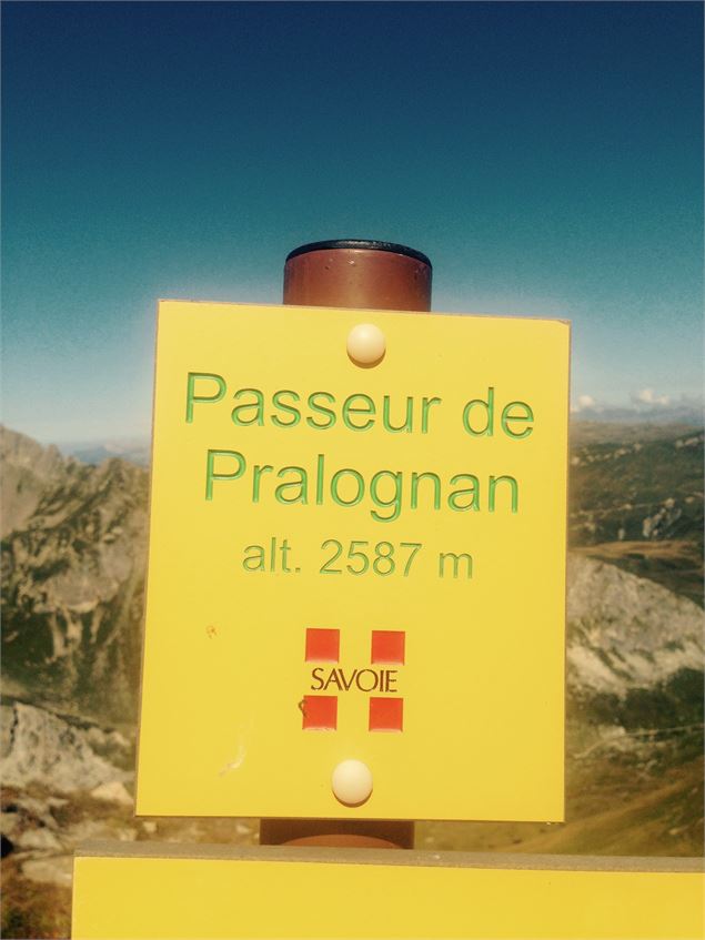 Le Passeur de Pralognan - S. FAYOLLE