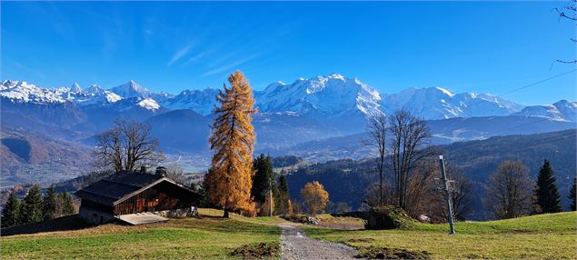 Vue sur Mont-Blanc en haut du domaine skiable de Cordon - © Cordon Tourisme