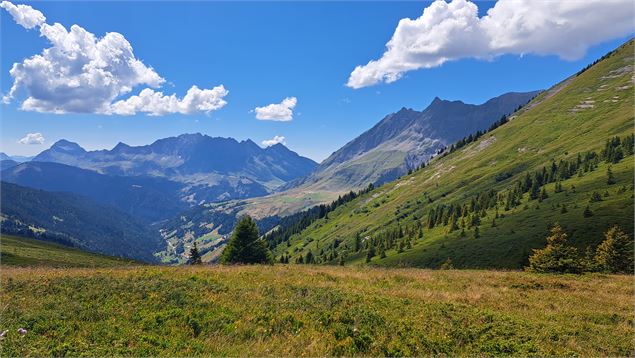 Vue côté Giettaz depuis le col de l'Avenaz - © Cordon Tourisme