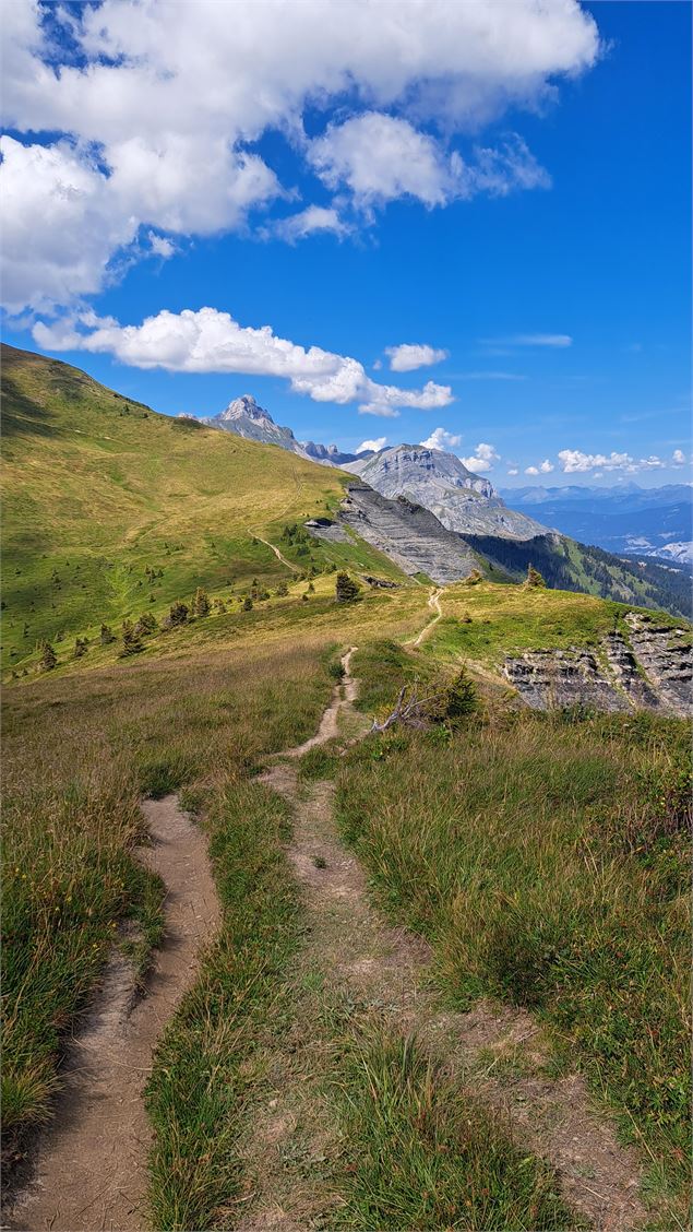 Chemin pédestre en direction des chlaets de l'Avenaz - © Cordon Tourisme