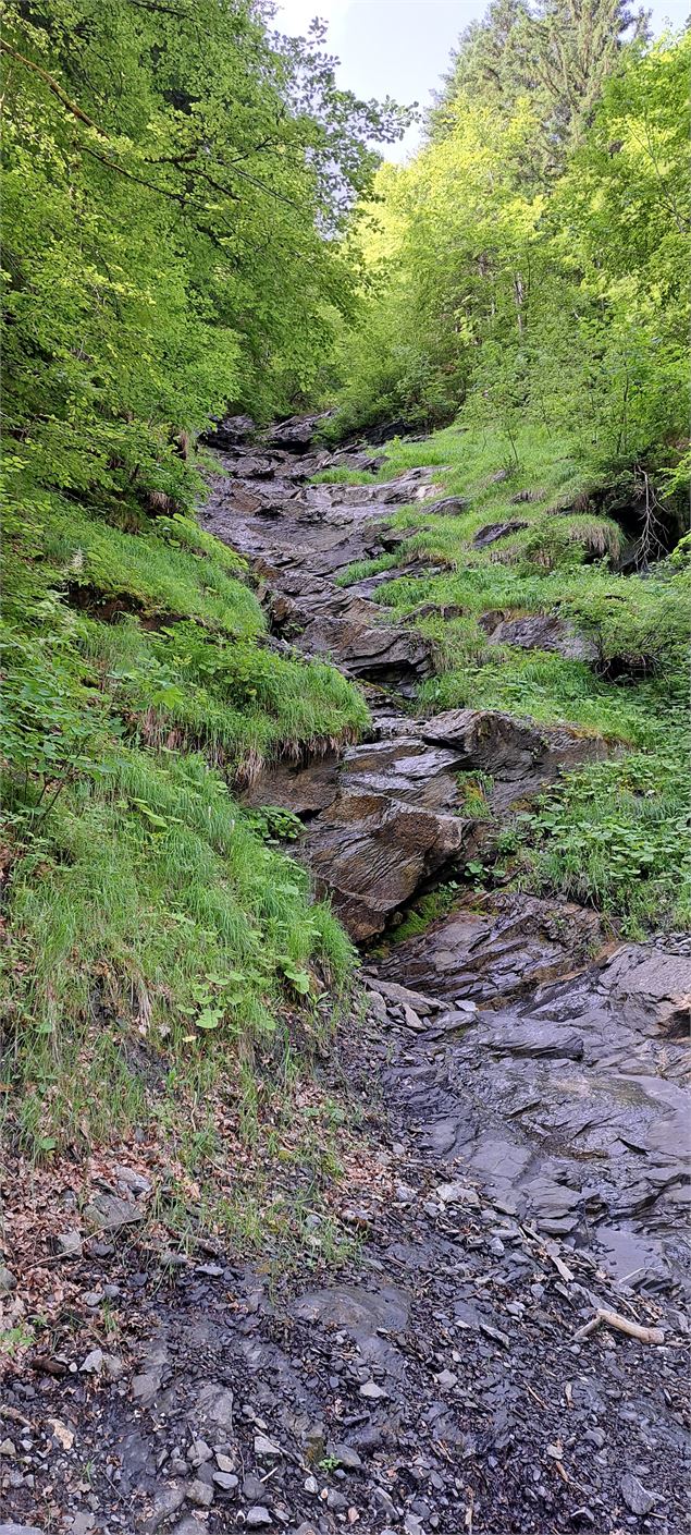 Verdure et eau - ©Cordon Tourisme