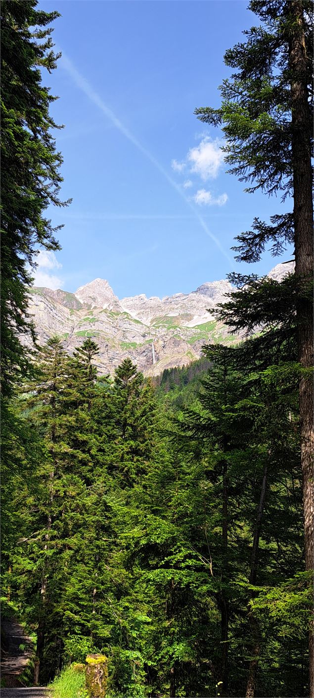 Les Aravis depuis le chemin - ©Cordon Tourisme