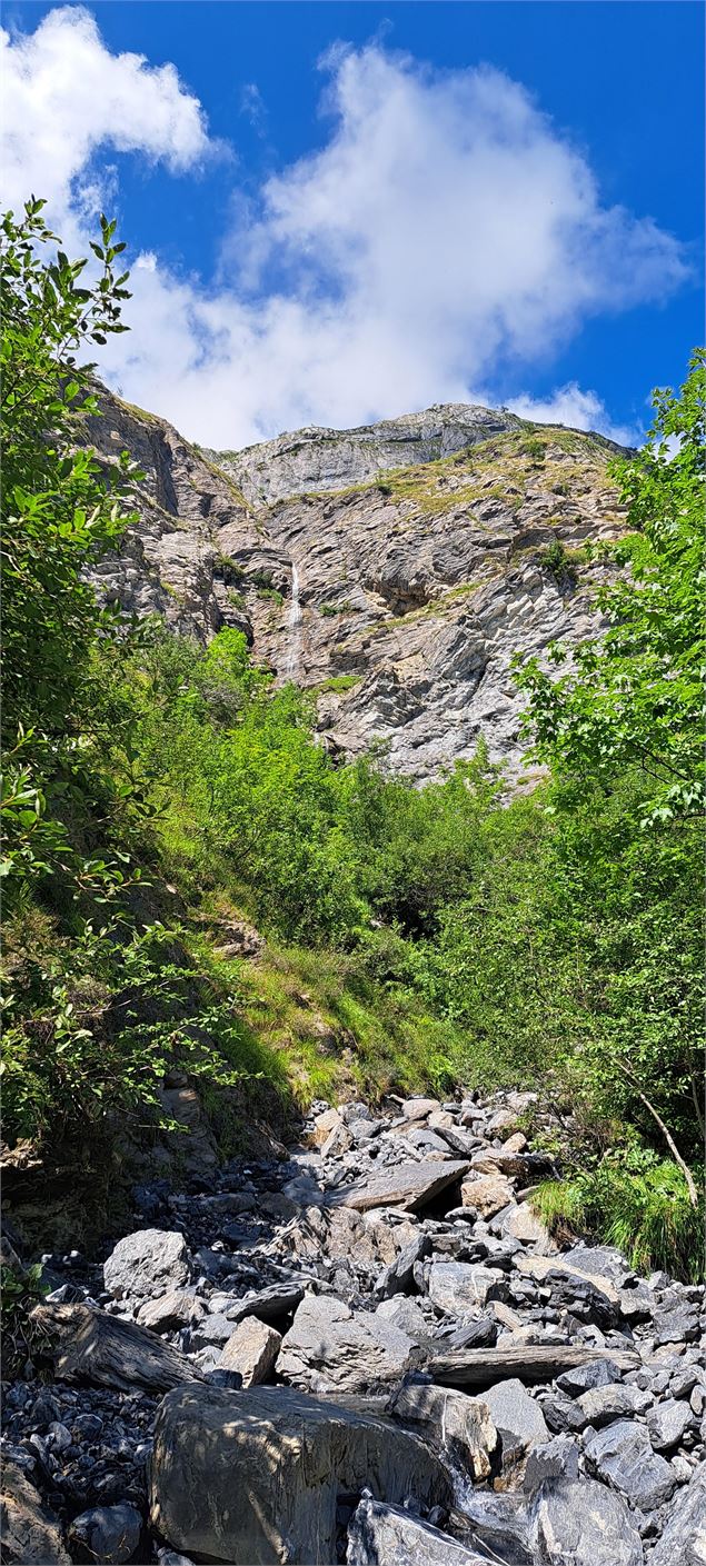 Végétation et rochers - Cordon Tourisme