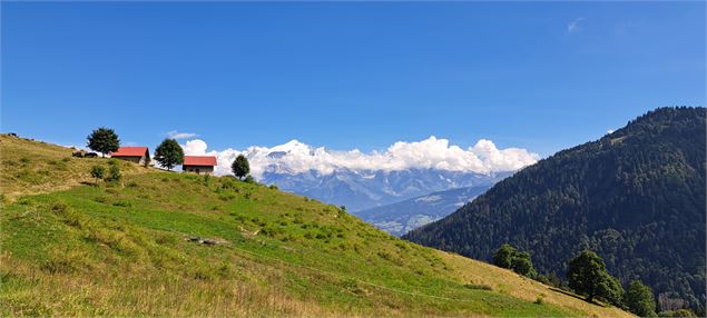 Alpage en arrivant à la Pierre Fendue - Cordon Tourisme