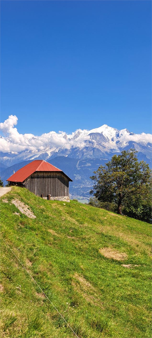 Chale d'alpage - Cordon Tourisme