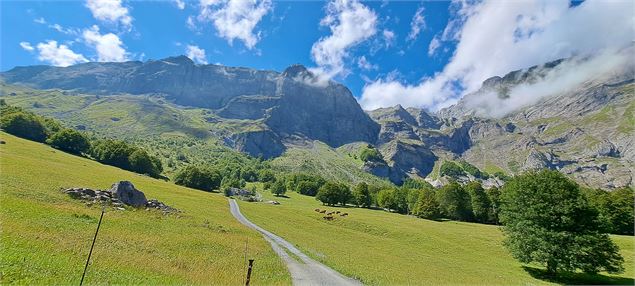 Chemin pédedstre et champs - Cordon Tourisme