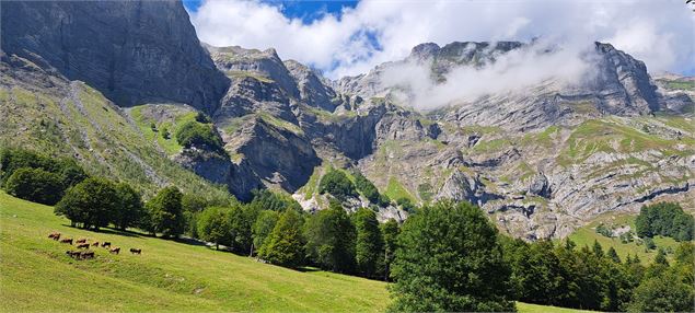 Vue des Quatres Tête en direction de la Pierre Fendue - Cordon Tourisme