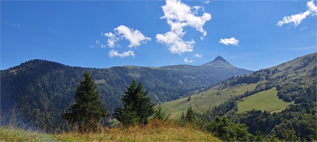 Vue depuis la Pierre Fendue - Cordon Tourisme