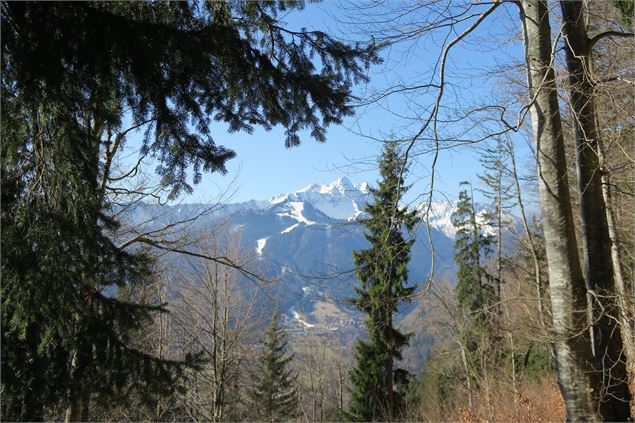 Roc d'Enfer à travers les arbres - Victor Demilly / Vallée d'Aulps Tourisme