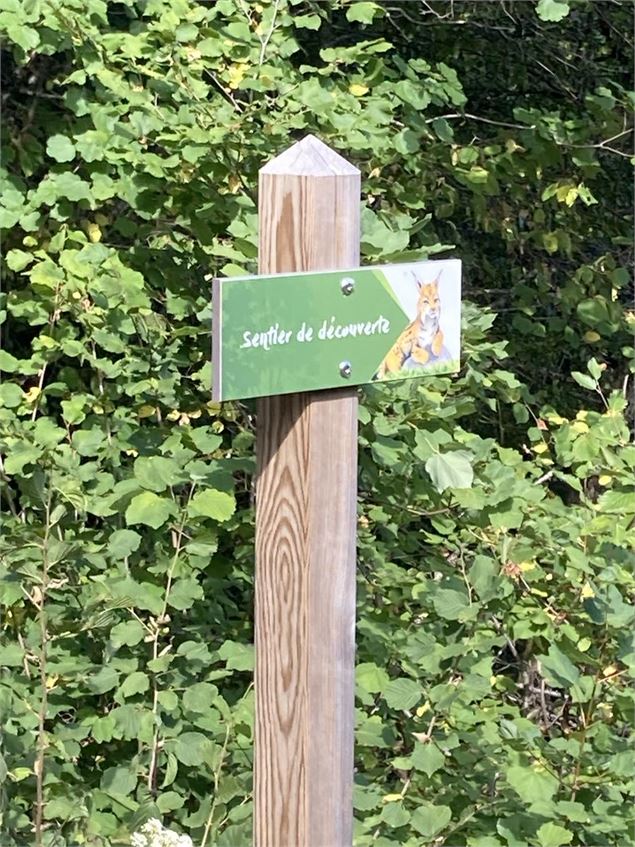 balisage - ®NATHADREAD PICTURES