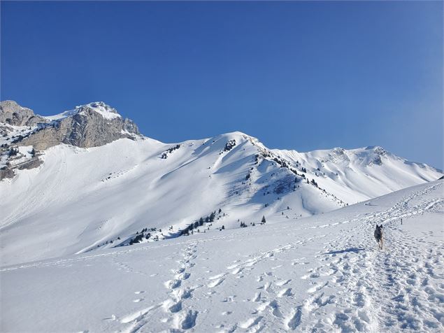 Randonnée pédestre : Boucle d'Orgeval_Faverges-Seythenex - PKOTSLA