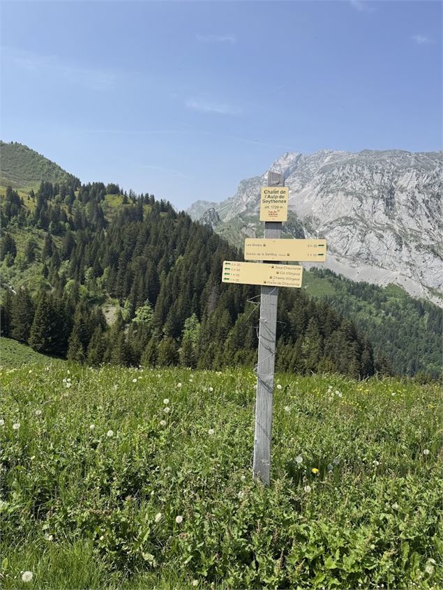 Randonnée pédestre : Boucle d'Orgeval_Faverges-Seythenex - PKOTSLA