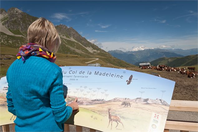 Col de la Madeleine