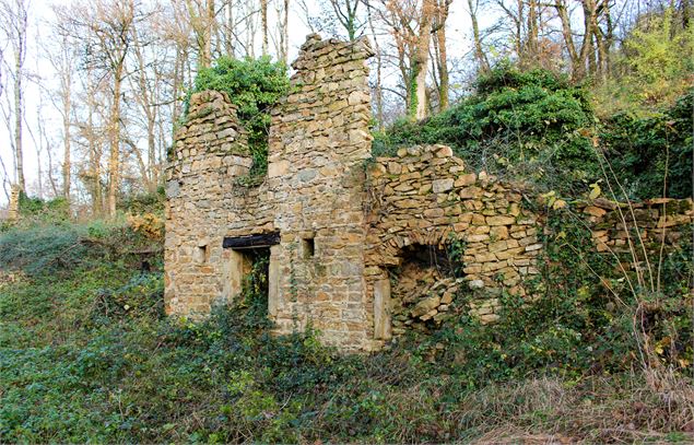 Ruines du Château de Saint-Germain - Vincent Gaullier