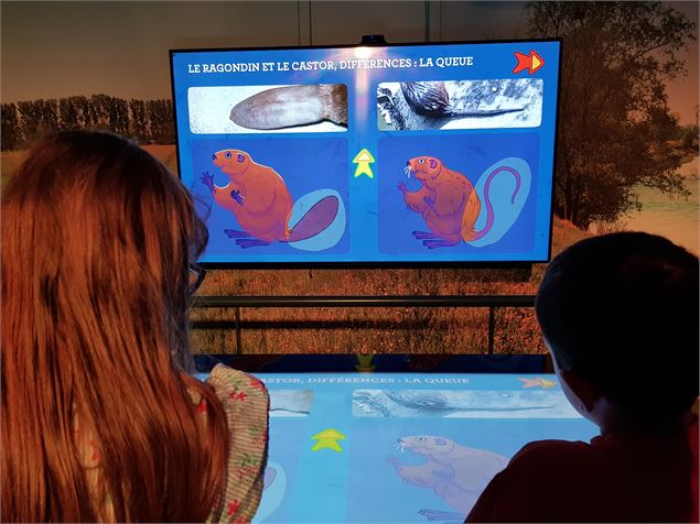 table tactile - Maison de l'eau et de la nature