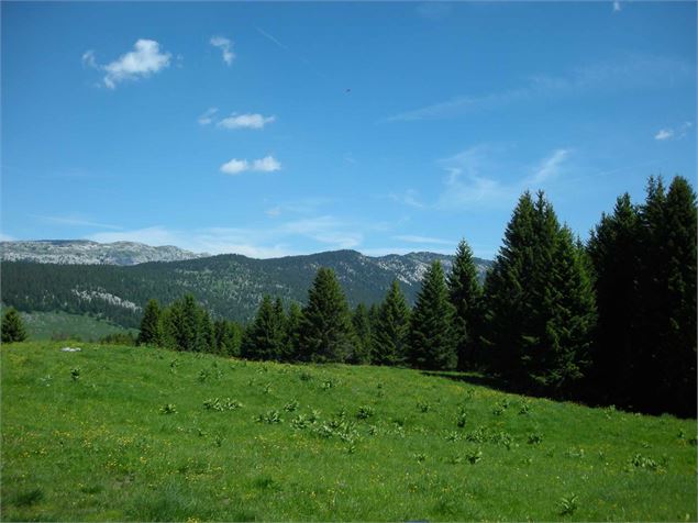 Plateau des Glières - Yan Gaëtan Olivo