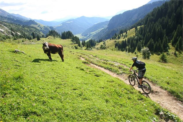 Circuit VTT enduro : le Grand tour du Grand-Bo - © Aravis