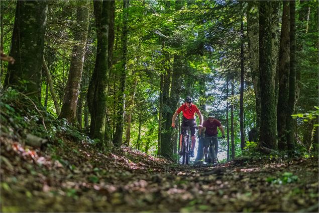 forêt vtt - Tristan Shu x Annecy Mountains