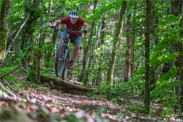 vttiste forêt alex - Tristan Shu x Annecy Mountains