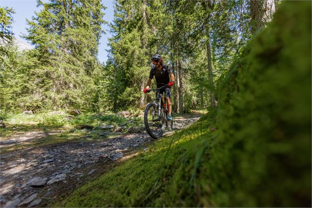 VTT en forêt à Passy Mont-Blanc - Bichette Voyage