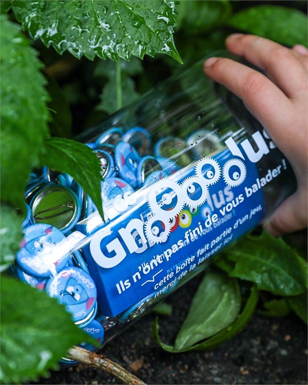 Les Gnolus - Mots et merveilles_Trévoux