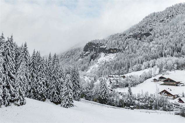 Cascade de l'Essert - L.Meyer - Châtel