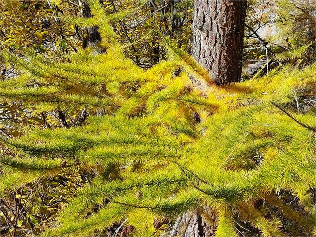 Randonnée pédestre du refuge d'Avérole par le hameau - K.Mandray