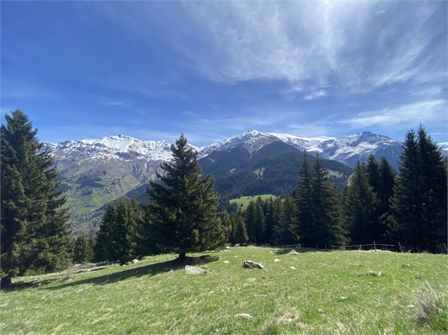 Tour de l'Armelaz - Tilby.Vattard