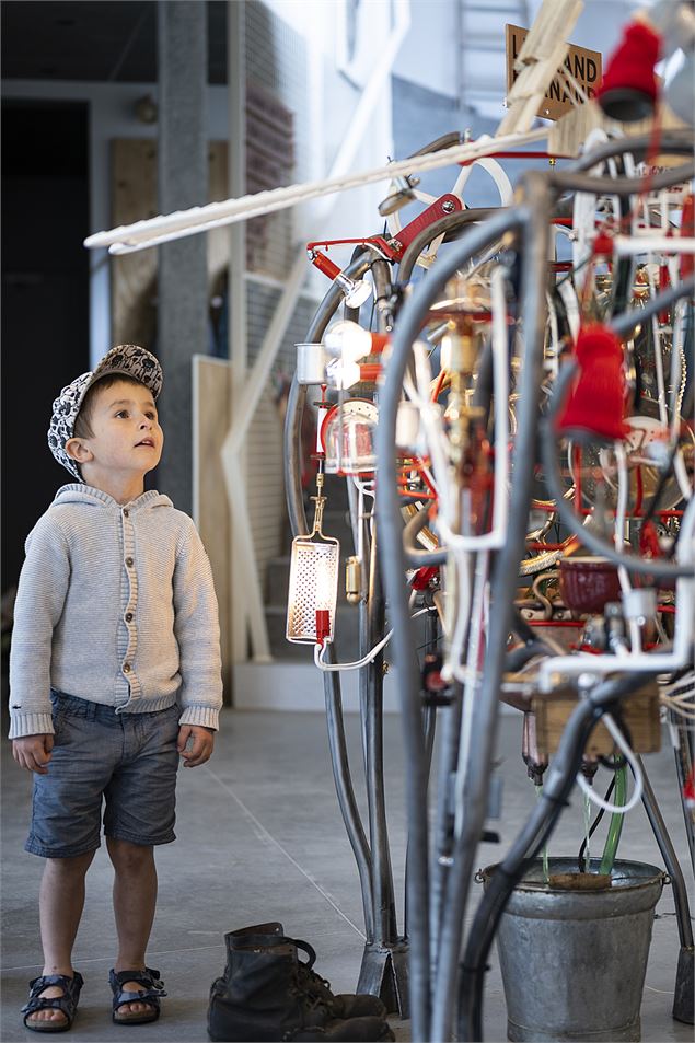 La vache cinétique4 - T. Vattard