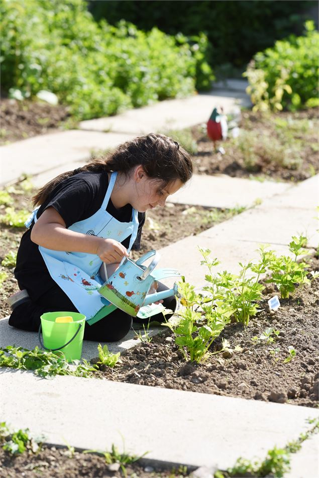 Stage à la ferme - Maud Dietmann