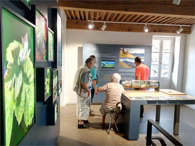 Musée de la vigne et du vin de Savoie - Montmélian - Musée de la vigne et du vin de Savoie