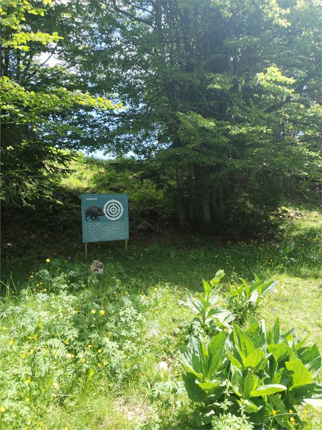 Cible - Village Tipi