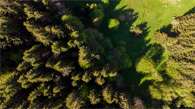 Circuit des Ars-Ecotagne