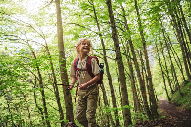 Foret de Nant Fourchu - Alpigraphie / Kröll Matthias - Grand Chambéry Alpes Tourisme