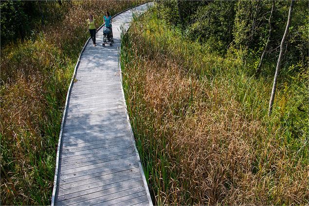 Marais de Chilly - SIAC - A. Berger