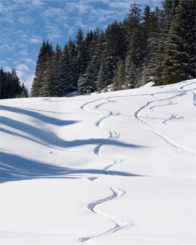 Trace dans la neige profonde - Nicolas Blandin