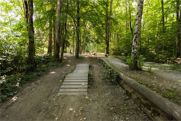 Bords de l'Arve et Lac de Passy_Passy