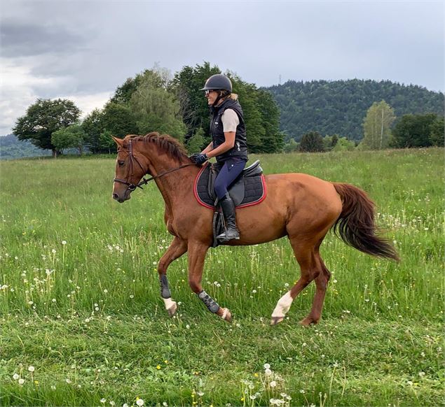 Centre équestre Volte face - Charles Thiebaut