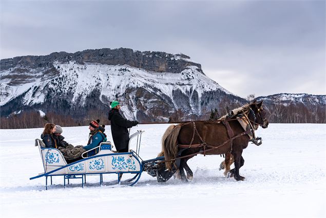 Balades en traîneau avec Volte Face - Charles Thiebaut