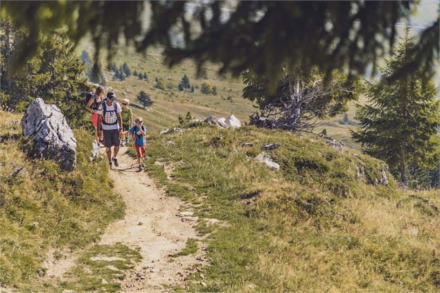 Sentier de découverte du milieu montagnard 4 - C. Cattin - Alpcat Medias