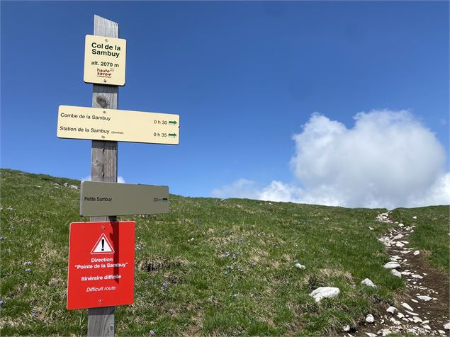 Randonnée pédestre : La Petite Sambuy via la piste forestière_Faverges-Seythenex - NFOTSLA