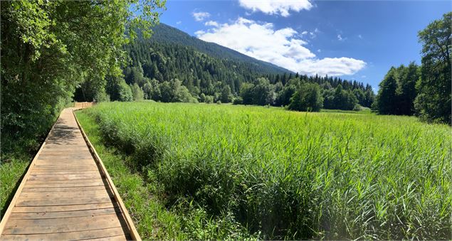 Promenade Confort de Le-Bourget-en-Huile_Bourget-en-Huile