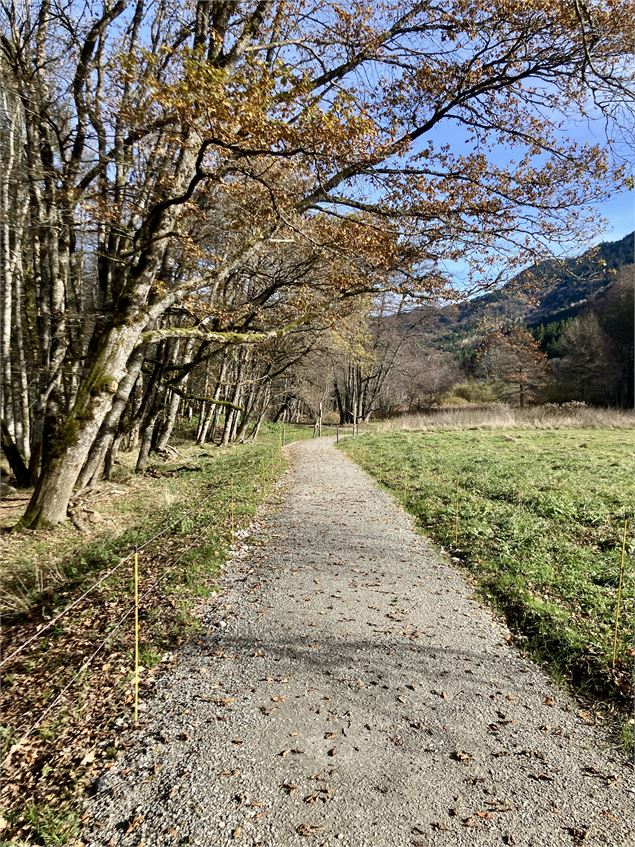 Promenade Confort de Le-Bourget-en-Huile_Bourget-en-Huile