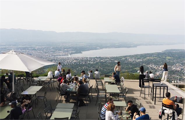 Café 1100 - STS - Agence Hemelka