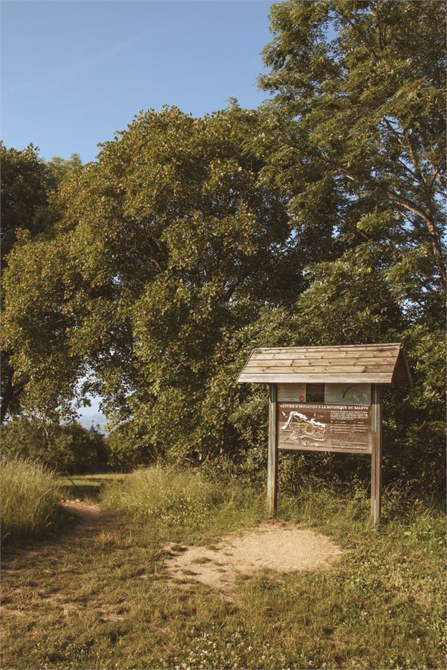 Rando - STS - Agence Hemelka