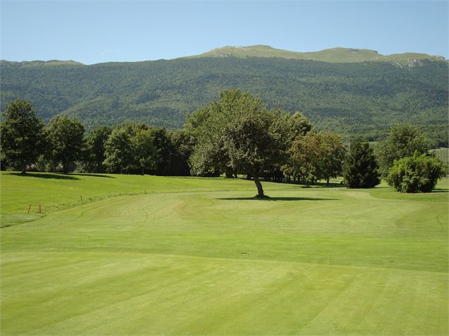 Green - ©Golf Domaine de Gonville