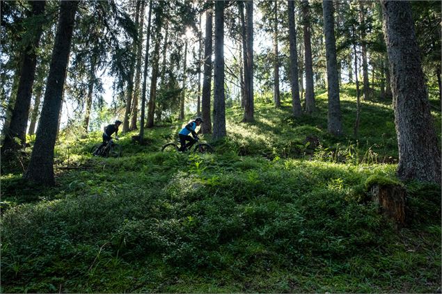Enduro en forêt à Arêches-Beaufort - OTAB - Paloma Striby